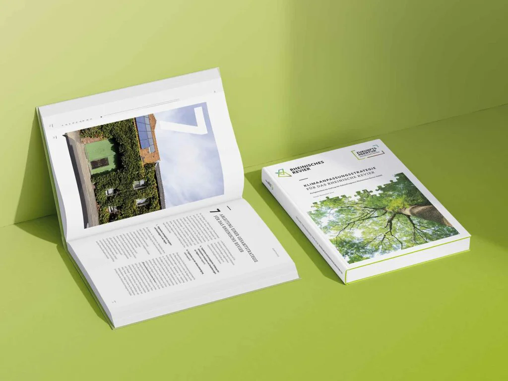 Buch Magazin Strategie Layout Satz Druck Infografik